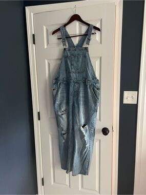 Women’s Distressed Denim Overalls